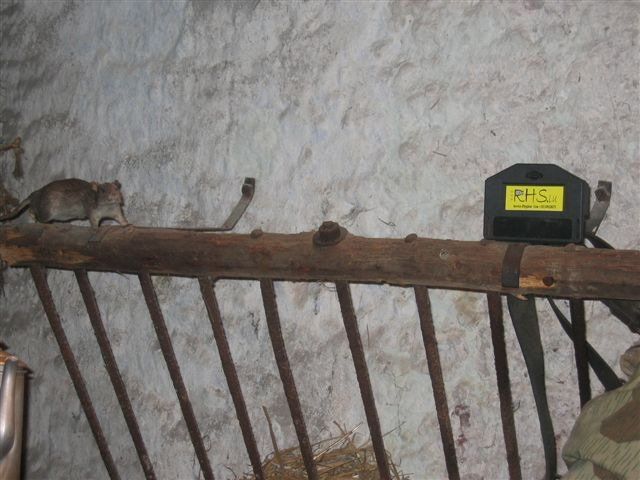 RHS Dératisation Luxembourg