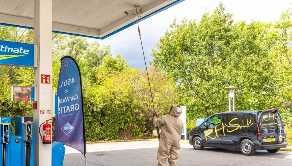 Frelons asiatiques à Bettembourg : une station-service contrainte de fermer - élimination des frelons par RHS